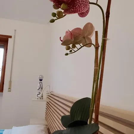 Casa Pereira Apartment